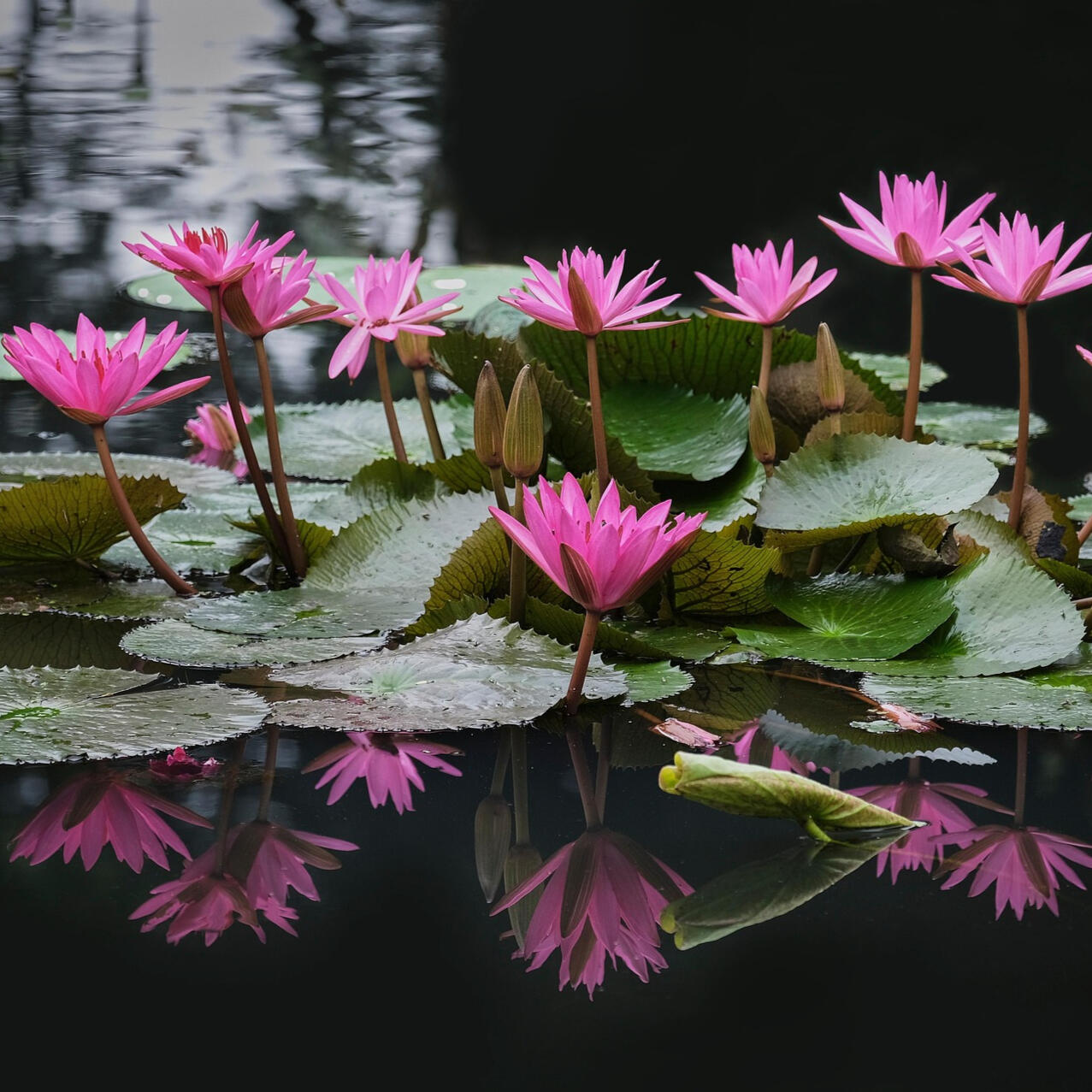 Craniosacral Certification Craniosacral Certification