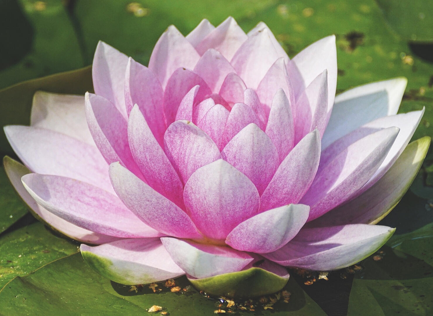 Craniosacral Certification Craniosacral Certification